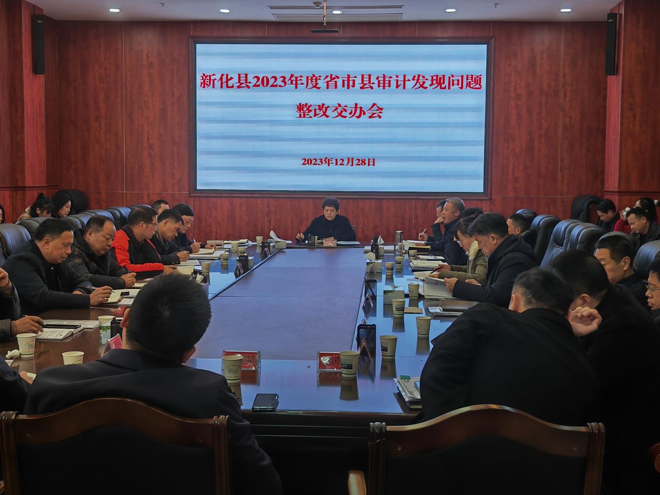新化县审计局未来生长妄想，塑造审计新蓝图，展望未来生长新篇章