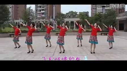 最新应子广场舞，舞动生涯的活力之源的魅力展现